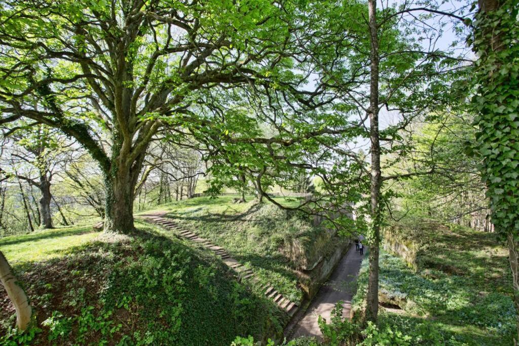 Maison Privilege Nature A La Petite Pierre Zewnętrze zdjęcie