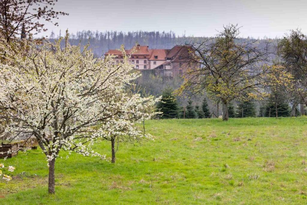 Maison Privilege Nature A La Petite Pierre Zewnętrze zdjęcie